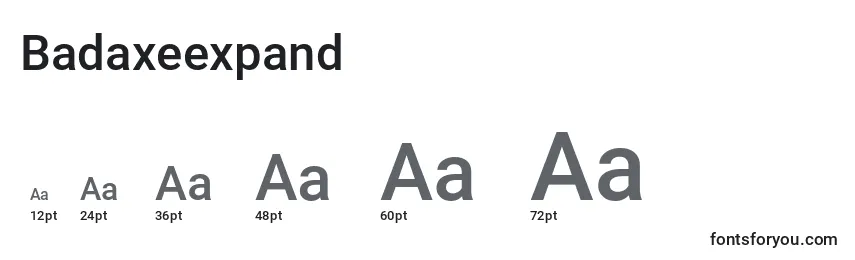 Размеры шрифта Badaxeexpand