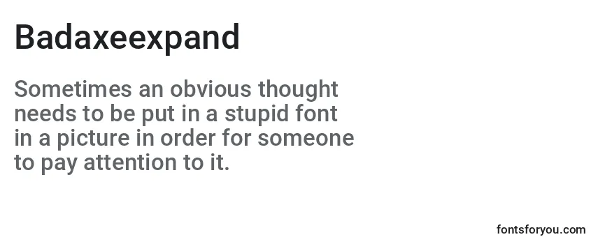 Review of the Badaxeexpand Font