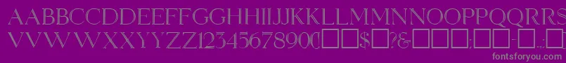 ElizabethRegular Font – Gray Fonts on Purple Background