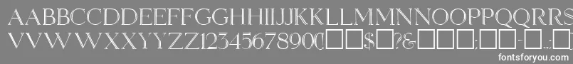 ElizabethRegular Font – White Fonts on Gray Background