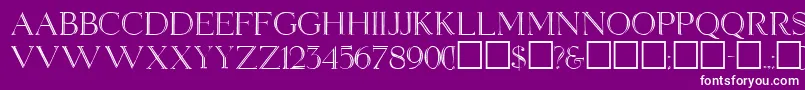 ElizabethRegular Font – White Fonts on Purple Background