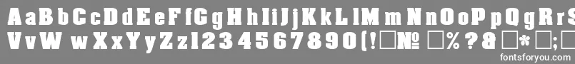 More about DgAachen Font DgAachen Font – White Fonts on Gray Background
