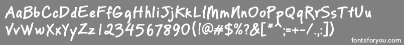 フォントPfreminderproBold – 灰色の背景に白い文字