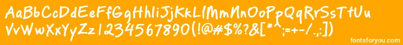 PfreminderproBold Font – White Fonts on Orange Background