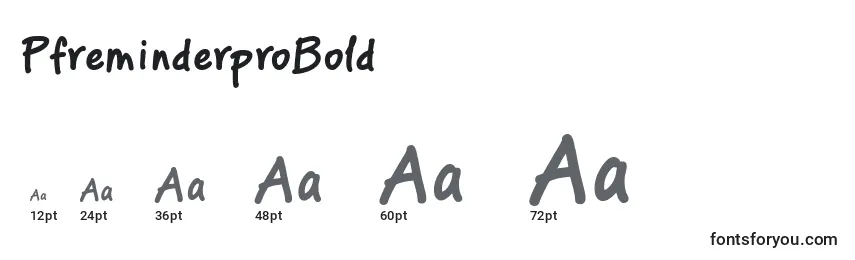 PfreminderproBold Font Sizes