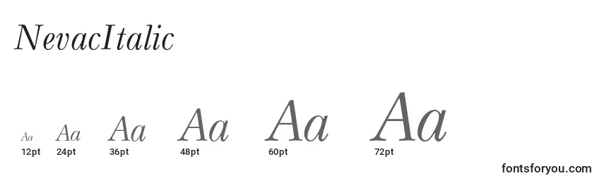 Размеры шрифта NevacItalic