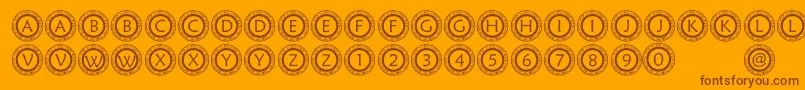 PfScircle1 Font – Brown Fonts on Orange Background