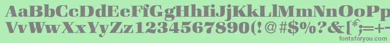 ZabriskiebookHeavyRegular Font – Gray Fonts on Green Background