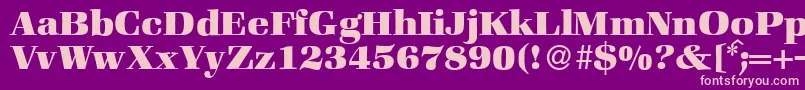 ZabriskiebookHeavyRegular Font – Pink Fonts on Purple Background