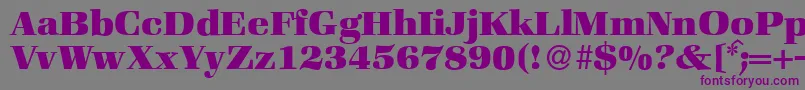 Weitere Informationen zur ZabriskiebookHeavyRegular-Schriftart ZabriskiebookHeavyRegular-Schriftart – Violette Schriften auf grauem Hintergrund