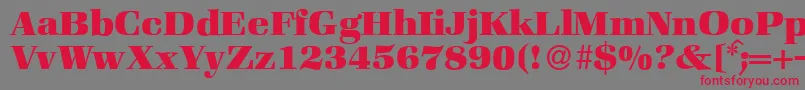 ZabriskiebookHeavyRegular Font – Red Fonts on Gray Background
