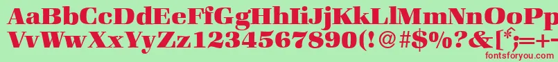 ZabriskiebookHeavyRegular Font – Red Fonts on Green Background