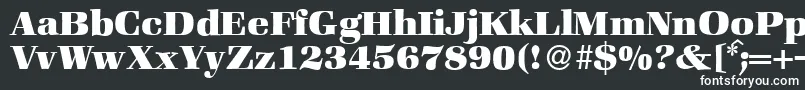 ZabriskiebookHeavyRegular Font – White Fonts on Black Background