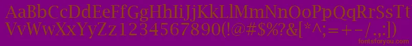 LucidaBrightRegular Font – Brown Fonts on Purple Background