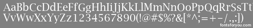 フォントLucidaBrightRegular – 灰色の背景に白い文字