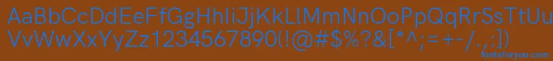 HkgroteskRegular Font – Blue Fonts on Brown Background