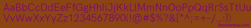 HkgroteskRegular Font – Purple Fonts on Brown Background