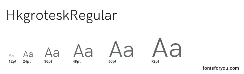 Размеры шрифта HkgroteskRegular
