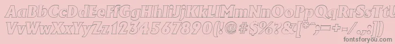 AdelonoutlineHeavyItalic Font – Gray Fonts on Pink Background