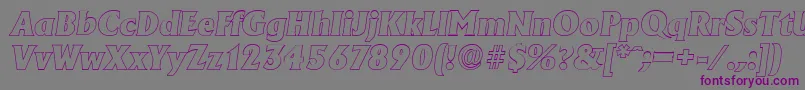 AdelonoutlineHeavyItalic Font – Purple Fonts on Gray Background