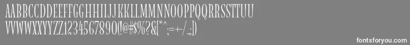 Magnoliamvbstd Font – White Fonts on Gray Background