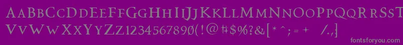 Vtcswitchbladeromance Font – Gray Fonts on Purple Background