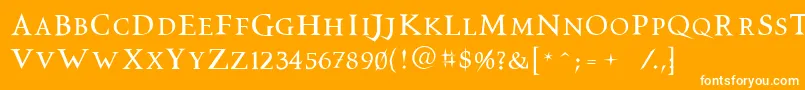 Vtcswitchbladeromance Font – White Fonts on Orange Background