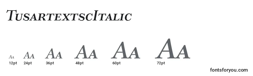 Размеры шрифта TusartextscItalic
