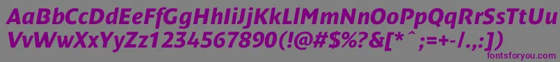 DendanewcBolditalic Font – Purple Fonts on Gray Background