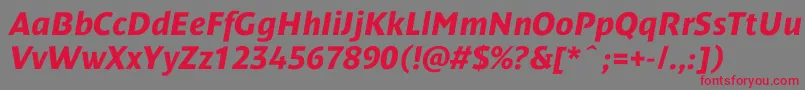 DendanewcBolditalic-Schriftart – Rote Schriften auf grauem Hintergrund