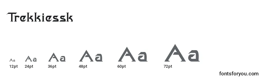 Размеры шрифта Trekkiessk