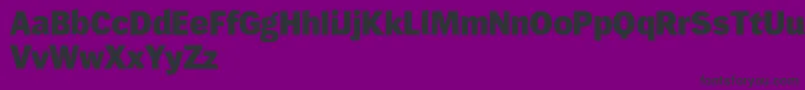 Wendelinreduced85fett Font – Black Fonts on Purple Background