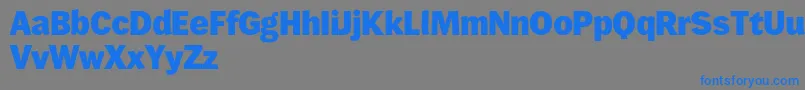 Wendelinreduced85fett Font – Blue Fonts on Gray Background