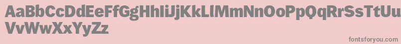 Wendelinreduced85fett Font – Gray Fonts on Pink Background