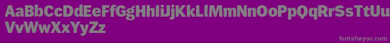 Wendelinreduced85fett Font – Gray Fonts on Purple Background