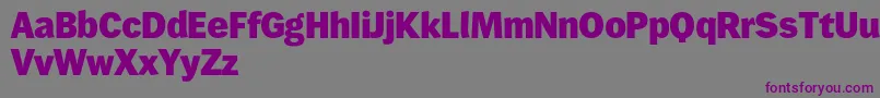 フォントWendelinreduced85fett – 紫色のフォント、灰色の背景