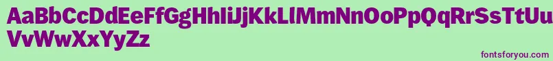 Wendelinreduced85fett Font – Purple Fonts on Green Background