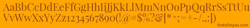 PlayfairdisplayRegular Font – Brown Fonts on Orange Background