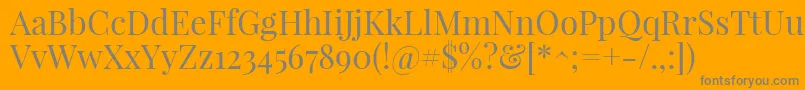 PlayfairdisplayRegular Font – Gray Fonts on Orange Background