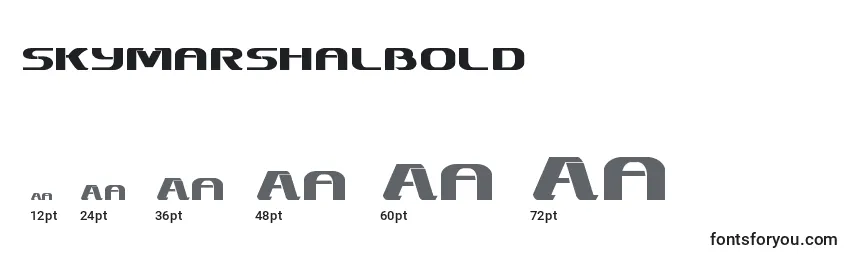 Размеры шрифта Skymarshalbold