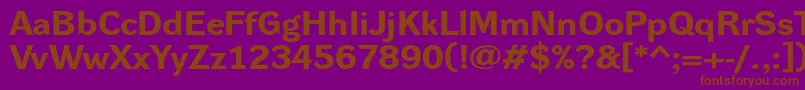 DynagroteskrxeBold Font – Brown Fonts on Purple Background