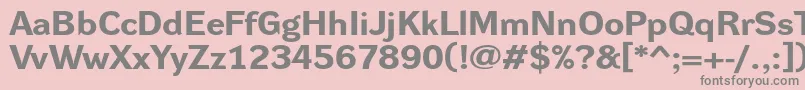 DynagroteskrxeBold Font – Gray Fonts on Pink Background