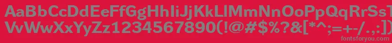 フォントDynagroteskrxeBold – 赤い背景に灰色の文字