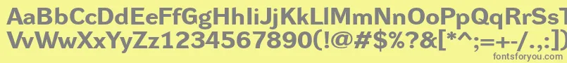 DynagroteskrxeBold Font – Gray Fonts on Yellow Background