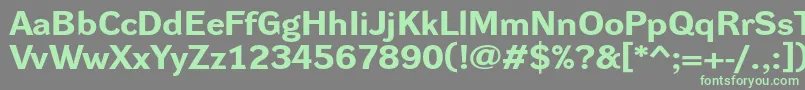 DynagroteskrxeBold Font – Green Fonts on Gray Background