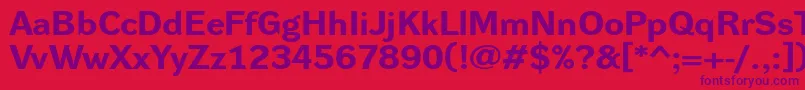 DynagroteskrxeBold Font – Purple Fonts on Red Background