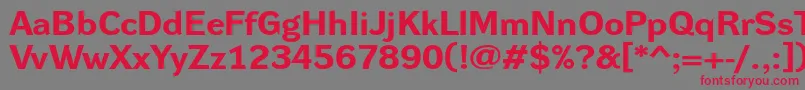 DynagroteskrxeBold Font – Red Fonts on Gray Background