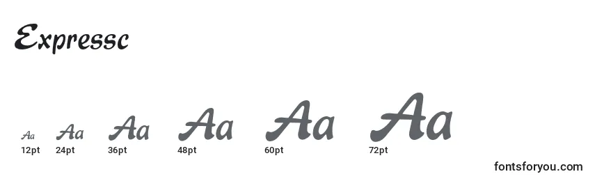 Размеры шрифта Expressc