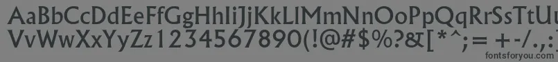 Spsloldkingc Font – Black Fonts on Gray Background