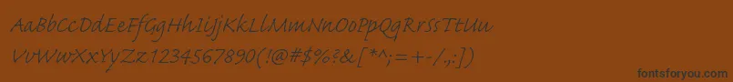 Police CaflischscriptproLight – polices noires sur fond brun